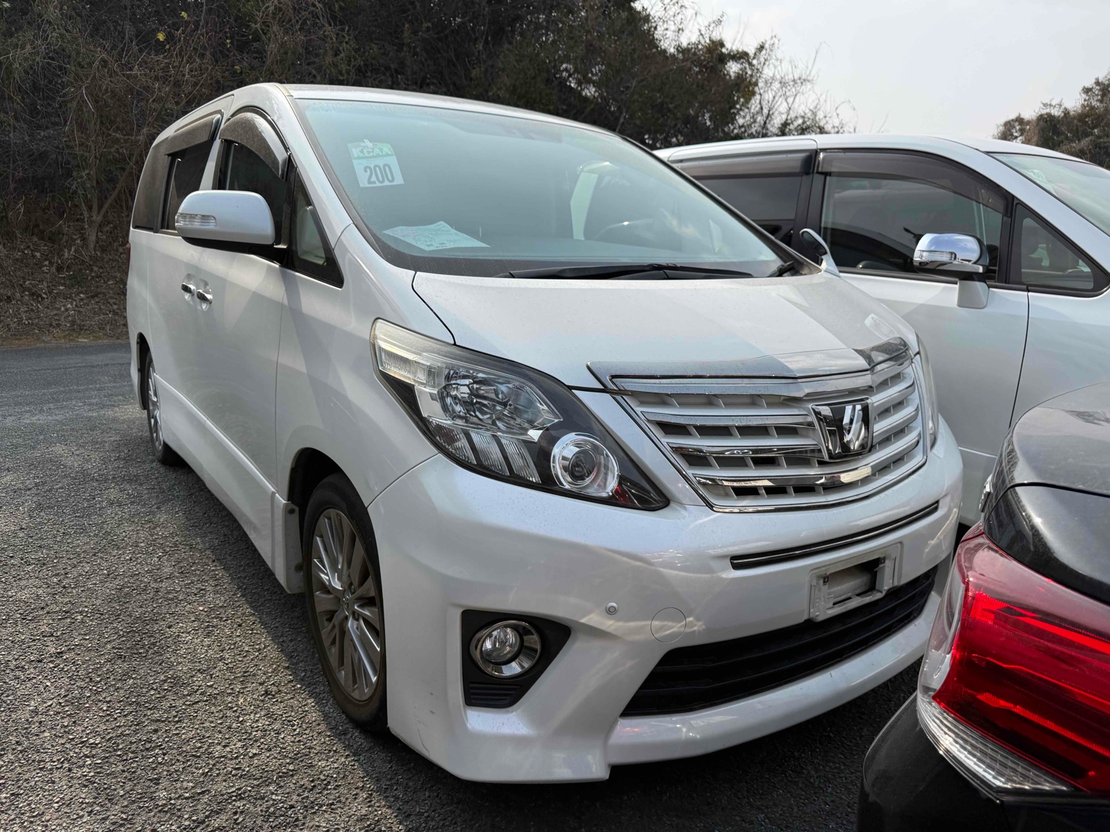 2013 TOYOTA ALPHARD