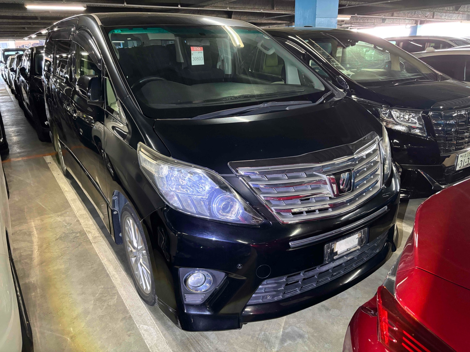2013 TOYOTA ALPHARD